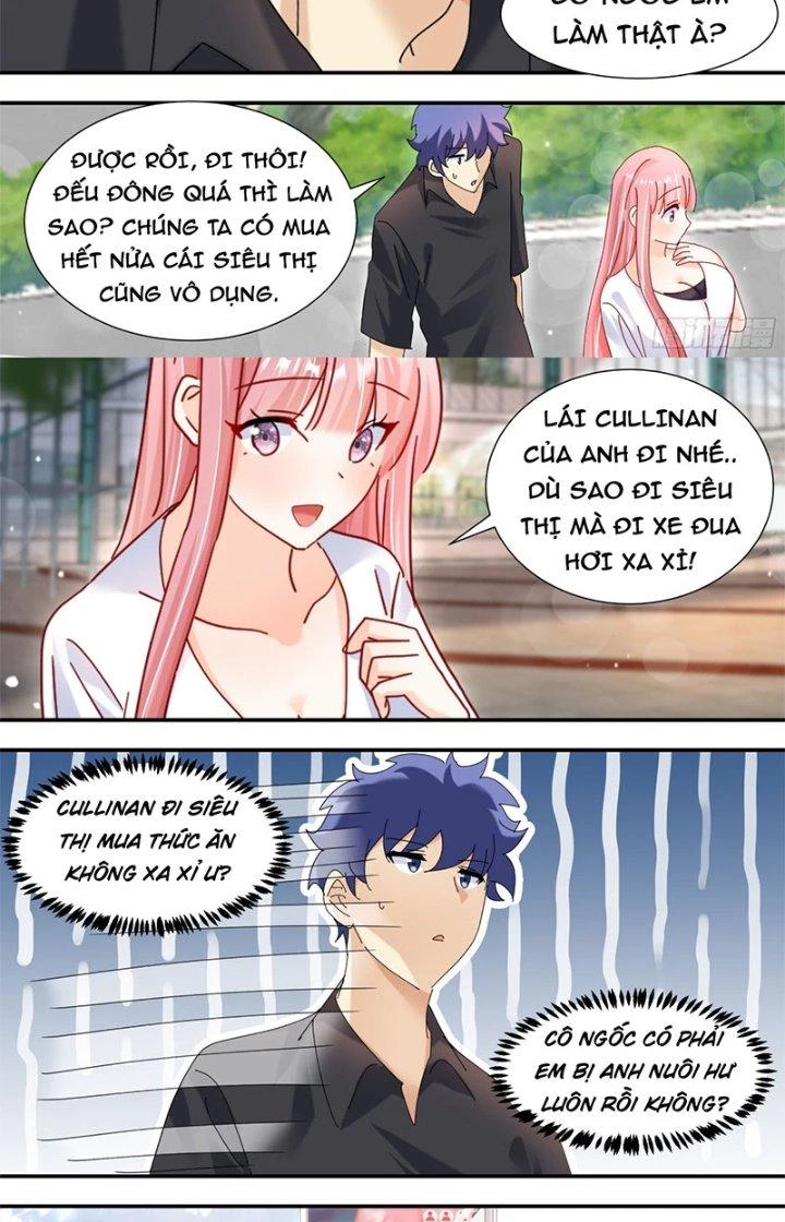 Trọng Sinh Thành Chó Của Nữ Thần Chapter 315 - Trang 2