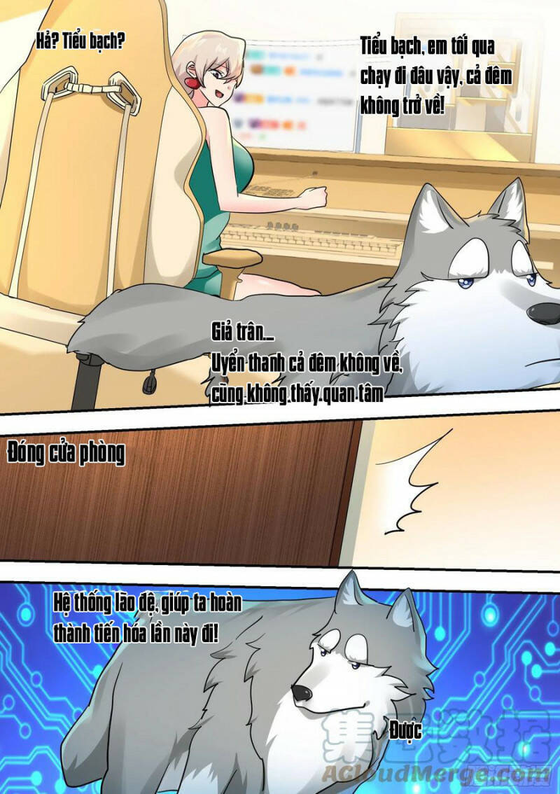 Trọng Sinh Thành Chó Của Nữ Thần Chapter 32 - Trang 2