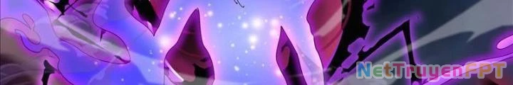 Trọng Sinh Thành Chó Của Nữ Thần Chapter 325 - Trang 2