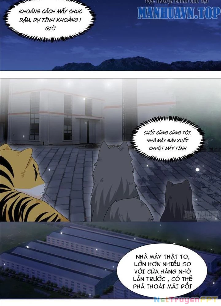 Trọng Sinh Thành Chó Của Nữ Thần Chapter 328 - Trang 2