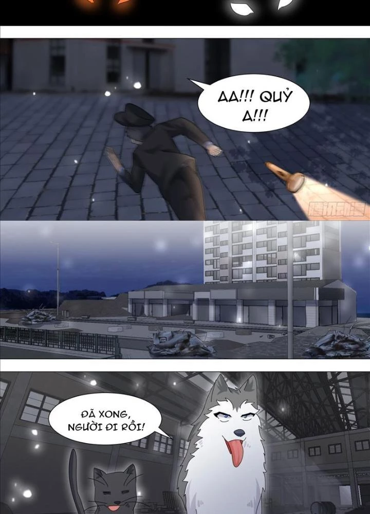 Trọng Sinh Thành Chó Của Nữ Thần Chapter 328 - Trang 2