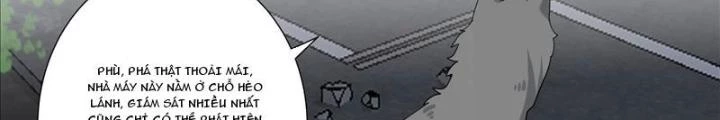 Trọng Sinh Thành Chó Của Nữ Thần Chapter 328 - Trang 2