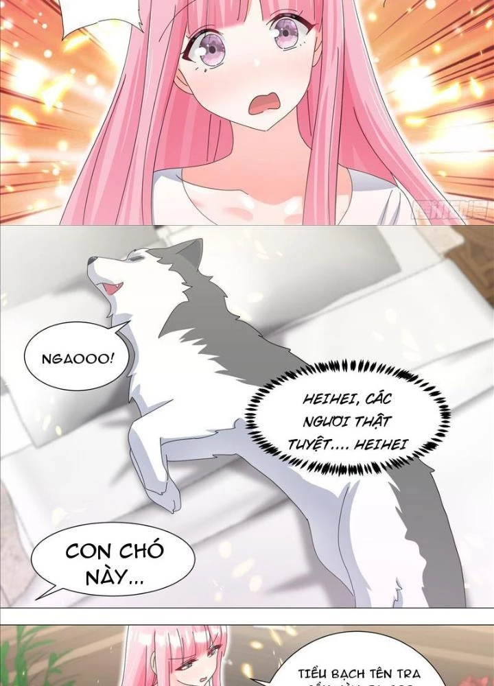 Trọng Sinh Thành Chó Của Nữ Thần Chapter 330 - Trang 2