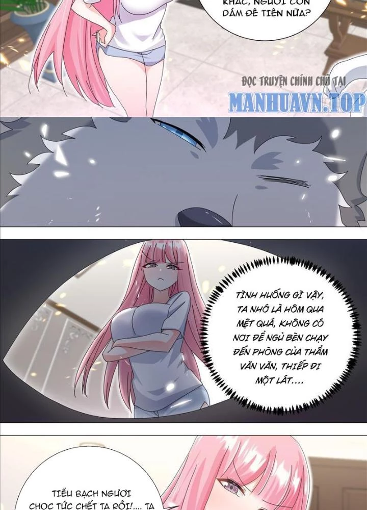 Trọng Sinh Thành Chó Của Nữ Thần Chapter 330 - Trang 2