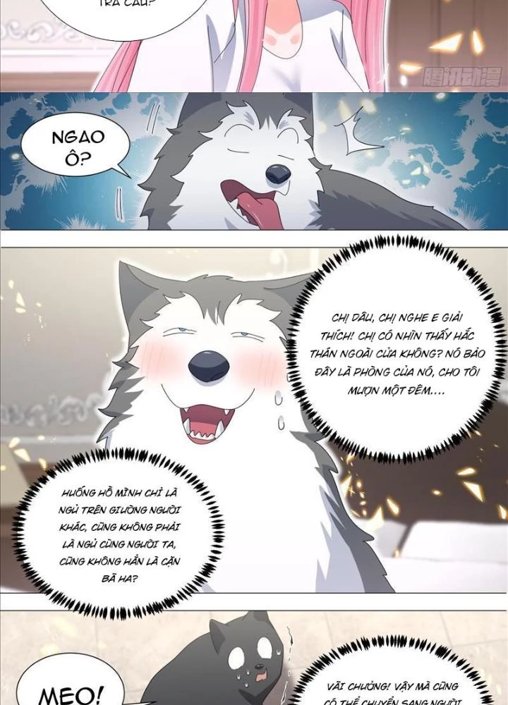 Trọng Sinh Thành Chó Của Nữ Thần Chapter 330 - Trang 2