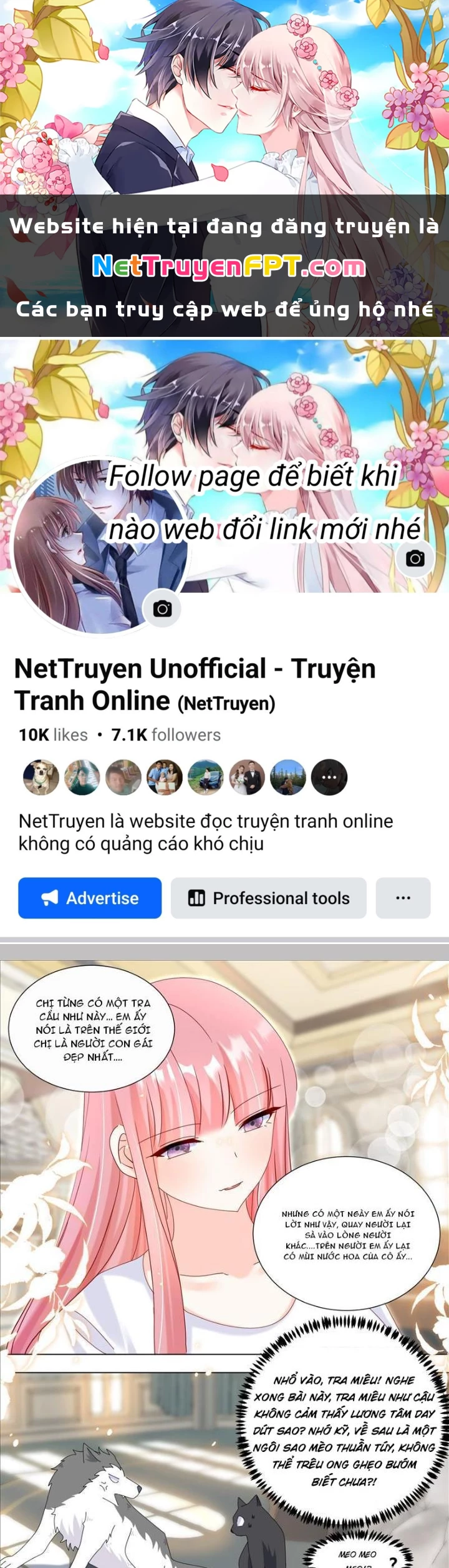 Trọng Sinh Thành Chó Của Nữ Thần Chapter 331 - Trang 2