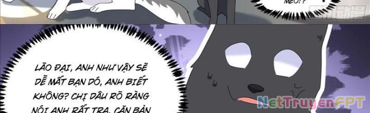 Trọng Sinh Thành Chó Của Nữ Thần Chapter 331 - Trang 2