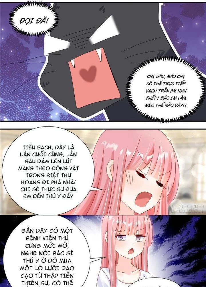 Trọng Sinh Thành Chó Của Nữ Thần Chapter 331 - Trang 2