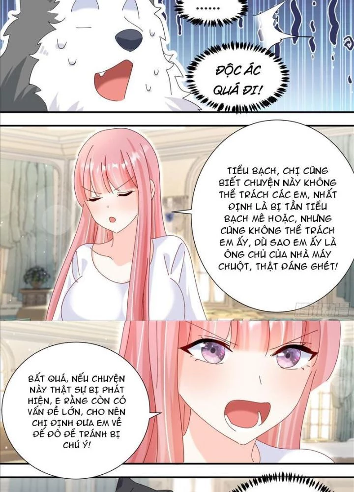 Trọng Sinh Thành Chó Của Nữ Thần Chapter 331 - Trang 2