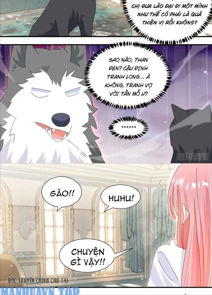 Trọng Sinh Thành Chó Của Nữ Thần Chapter 331 - Trang 2