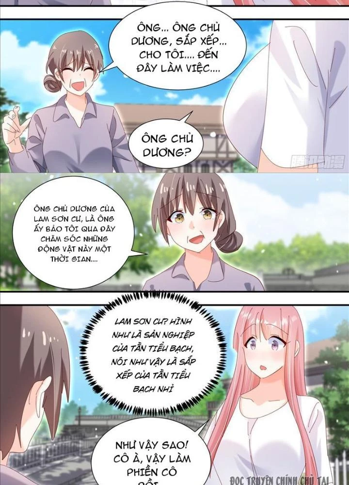 Trọng Sinh Thành Chó Của Nữ Thần Chapter 331 - Trang 2