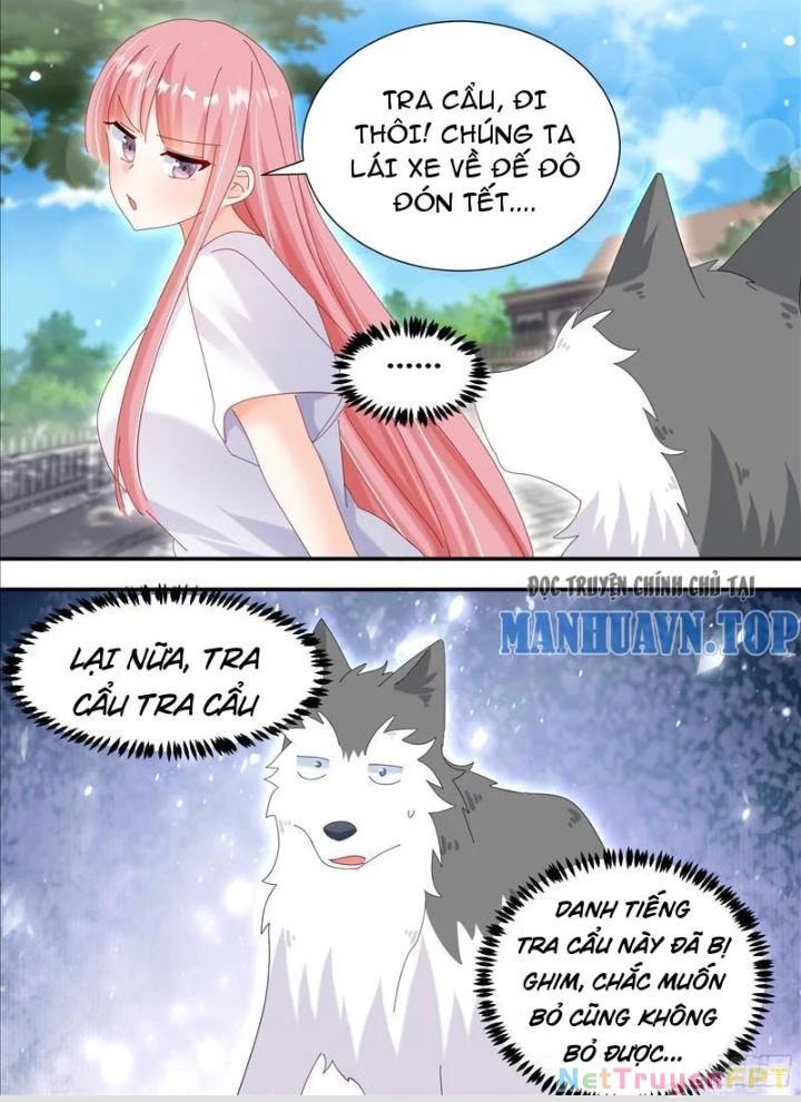 Trọng Sinh Thành Chó Của Nữ Thần Chapter 331 - Trang 2