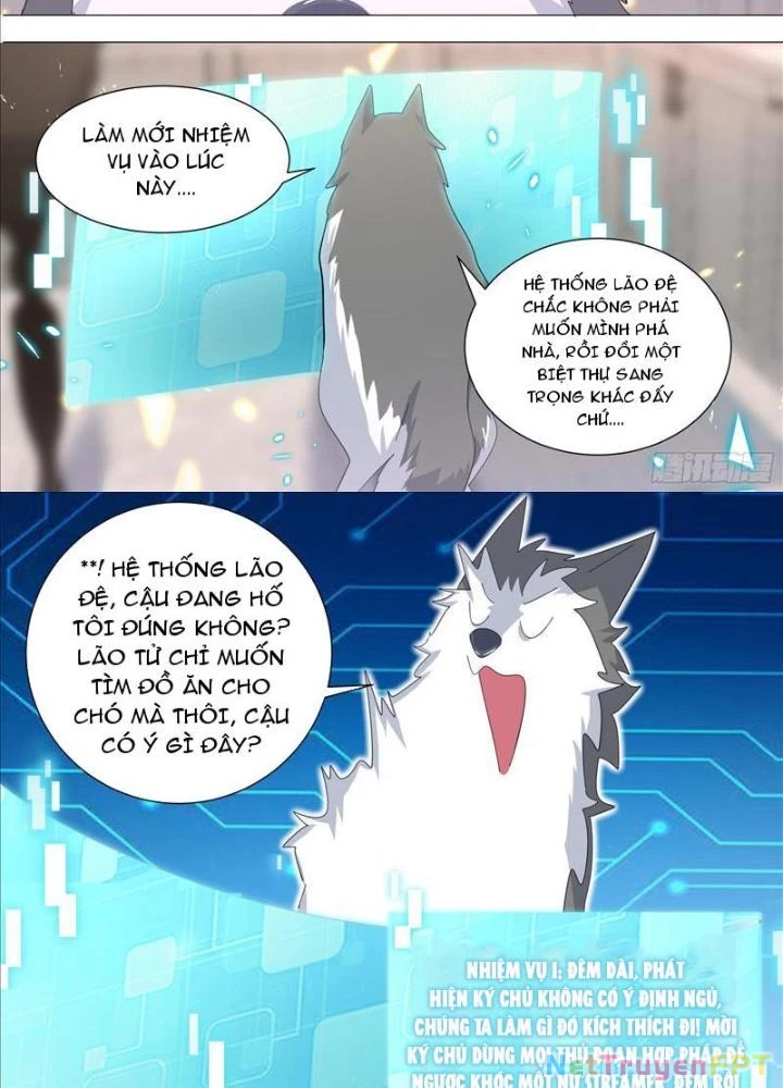 Trọng Sinh Thành Chó Của Nữ Thần Chapter 332 - Trang 2