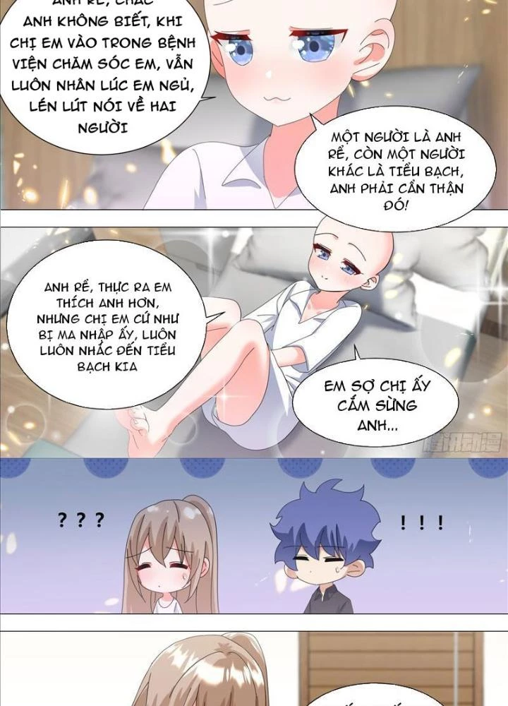 Trọng Sinh Thành Chó Của Nữ Thần Chapter 336 - Trang 2