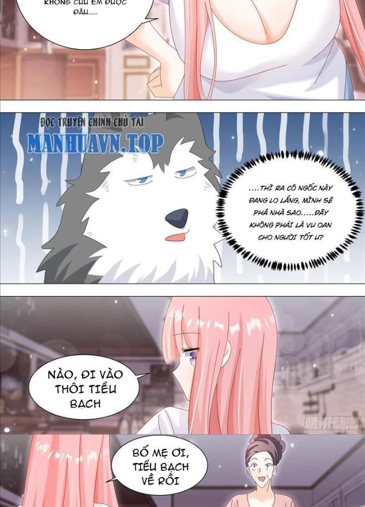 Trọng Sinh Thành Chó Của Nữ Thần Chapter 337 - Trang 2