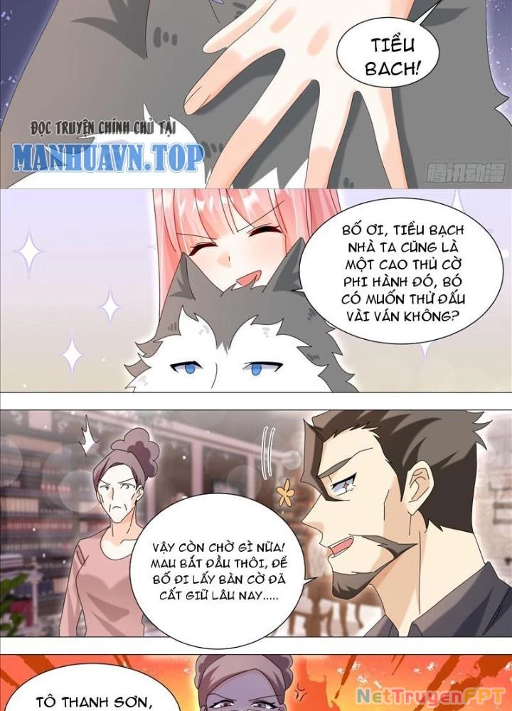 Trọng Sinh Thành Chó Của Nữ Thần Chapter 337 - Trang 2