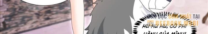 Trọng Sinh Thành Chó Của Nữ Thần Chapter 337 - Trang 2
