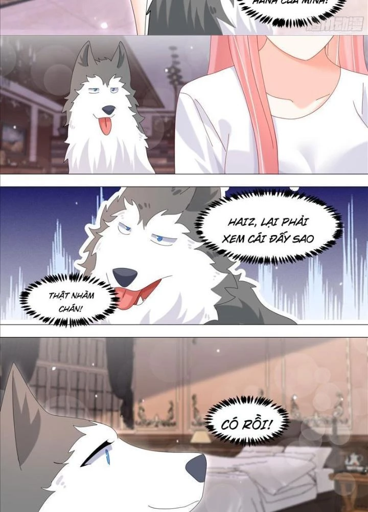 Trọng Sinh Thành Chó Của Nữ Thần Chapter 337 - Trang 2
