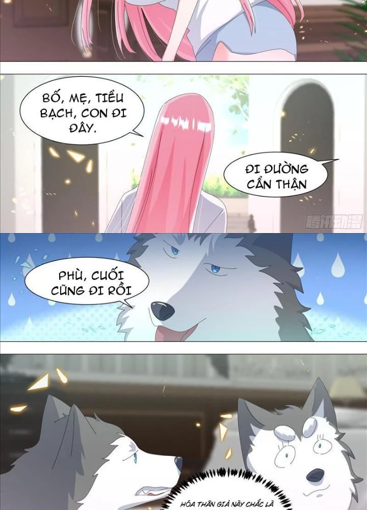 Trọng Sinh Thành Chó Của Nữ Thần Chapter 338 - Trang 2