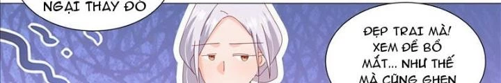 Trọng Sinh Thành Chó Của Nữ Thần Chapter 339 - Trang 2