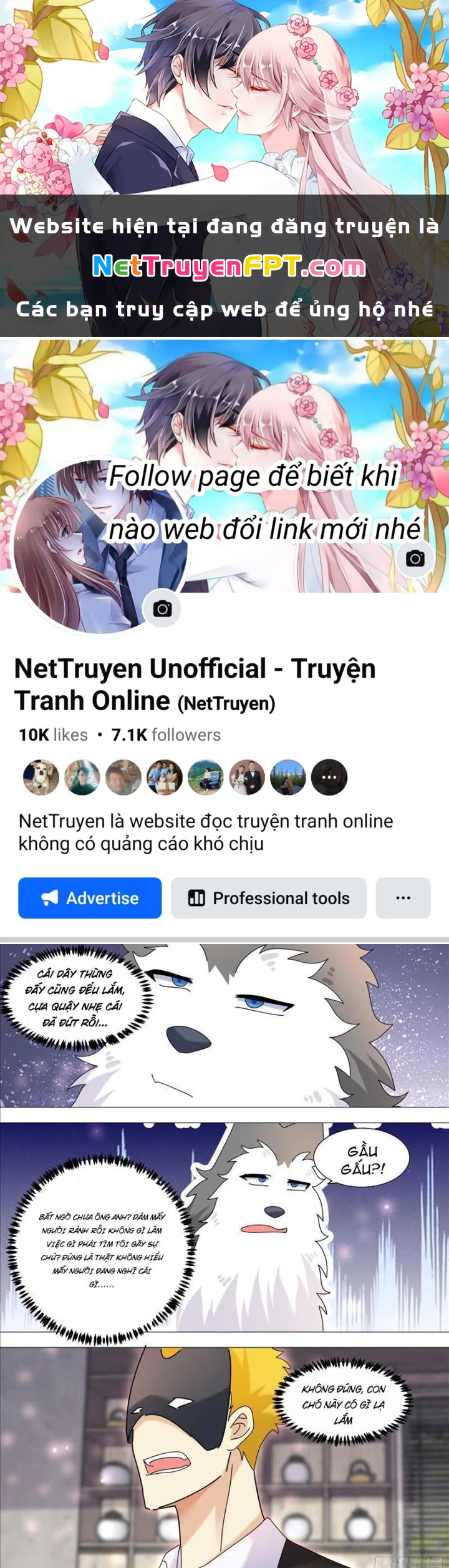 Trọng Sinh Thành Chó Của Nữ Thần Chapter 365 - Trang 2