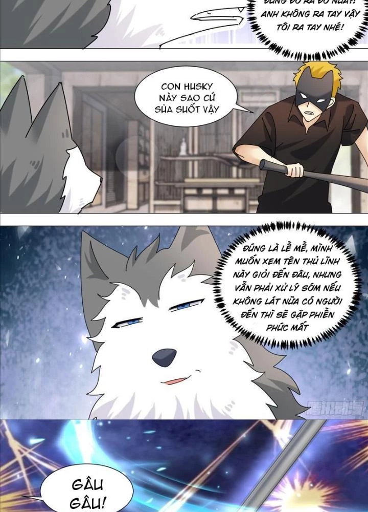 Trọng Sinh Thành Chó Của Nữ Thần Chapter 365 - Trang 2