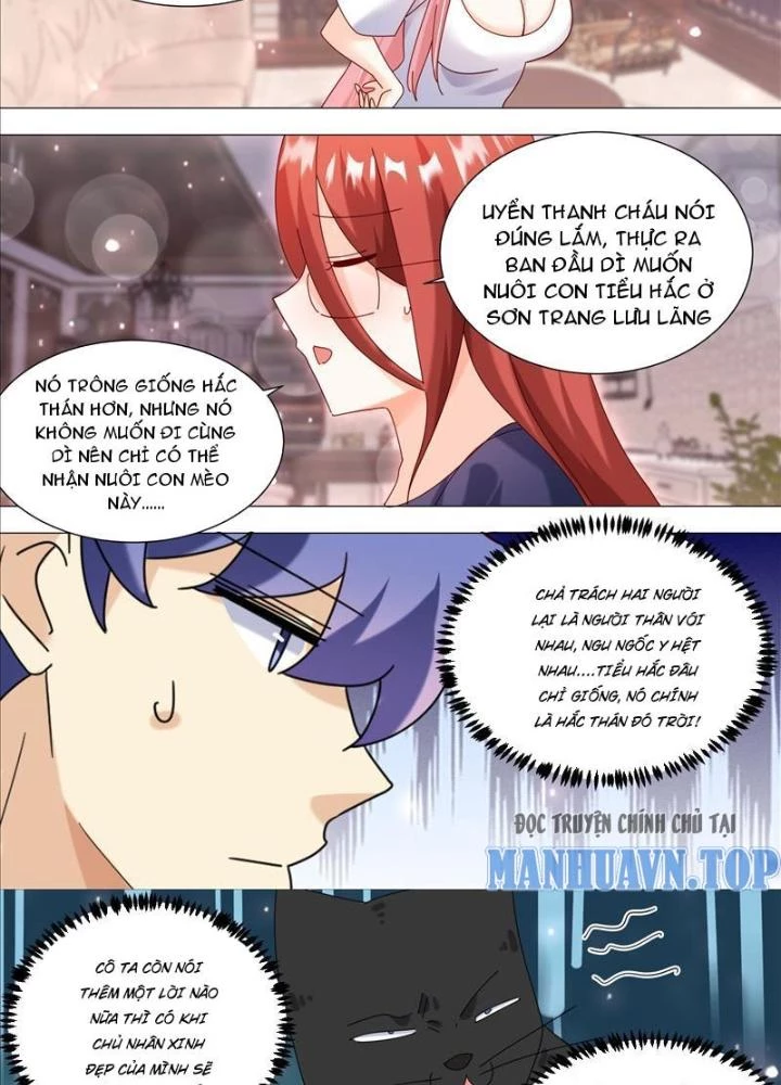 Trọng Sinh Thành Chó Của Nữ Thần Chapter 369 - Trang 2