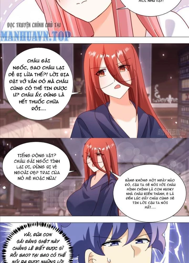 Trọng Sinh Thành Chó Của Nữ Thần Chapter 369 - Trang 2