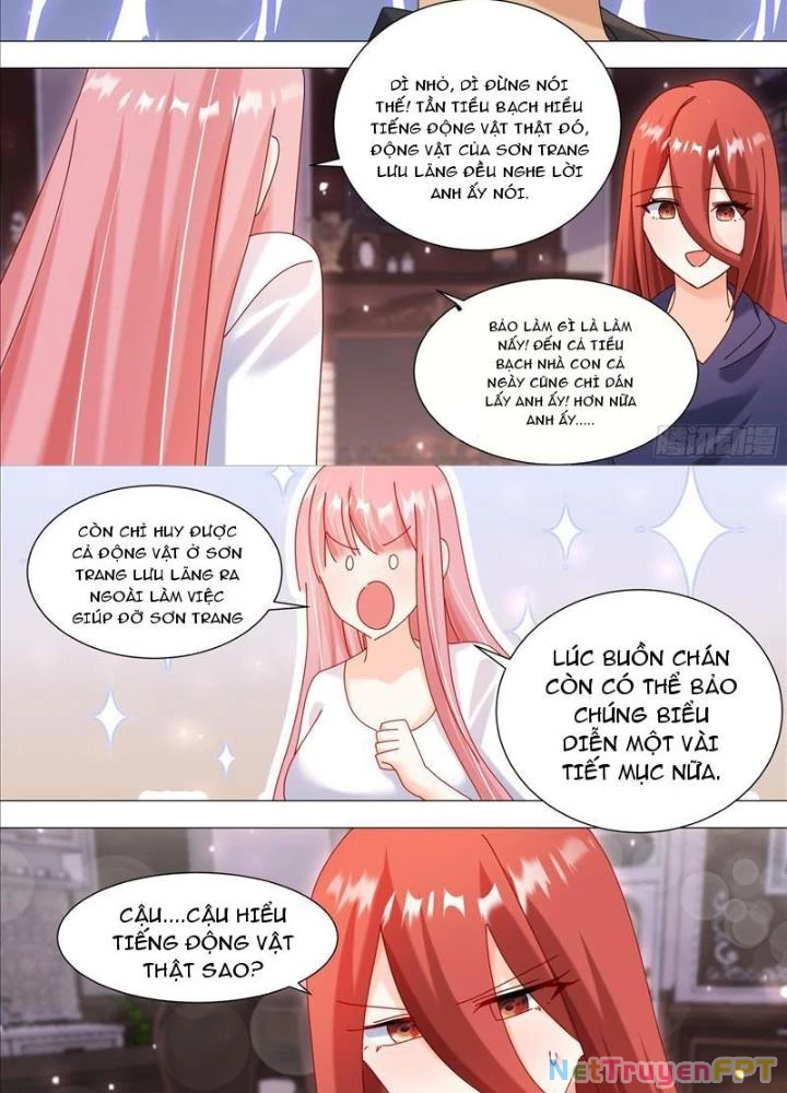 Trọng Sinh Thành Chó Của Nữ Thần Chapter 369 - Trang 2