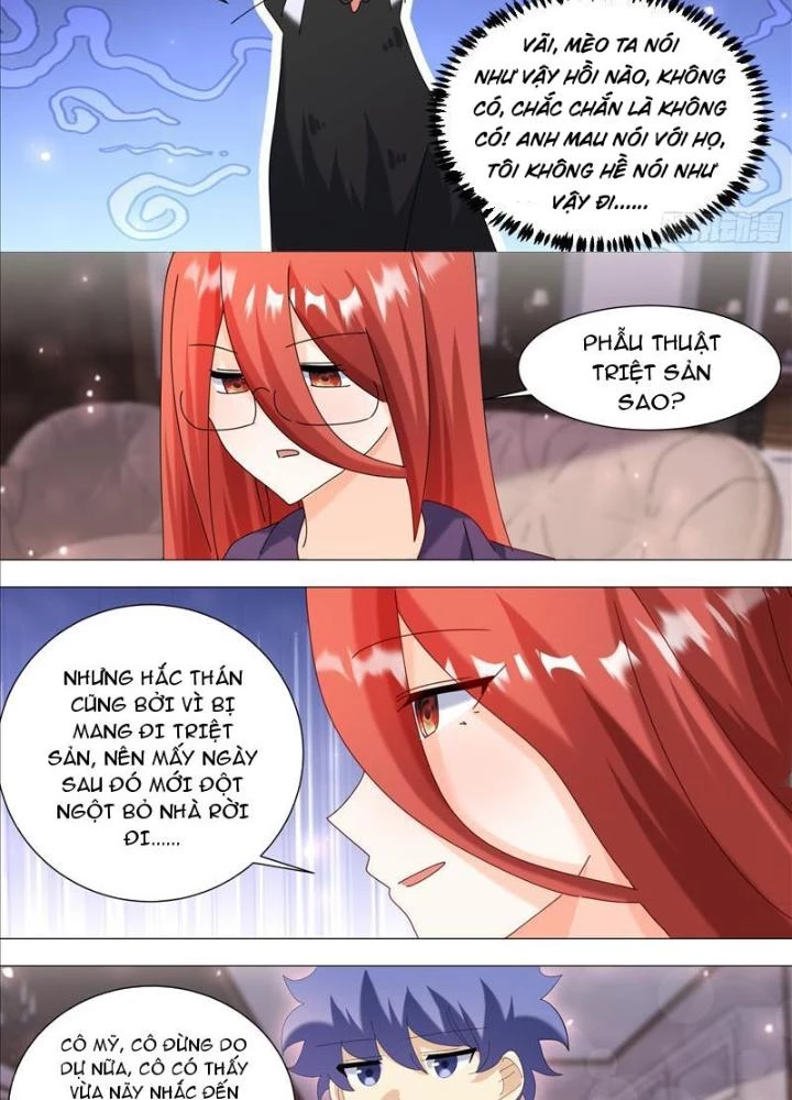 Trọng Sinh Thành Chó Của Nữ Thần Chapter 369 - Trang 2