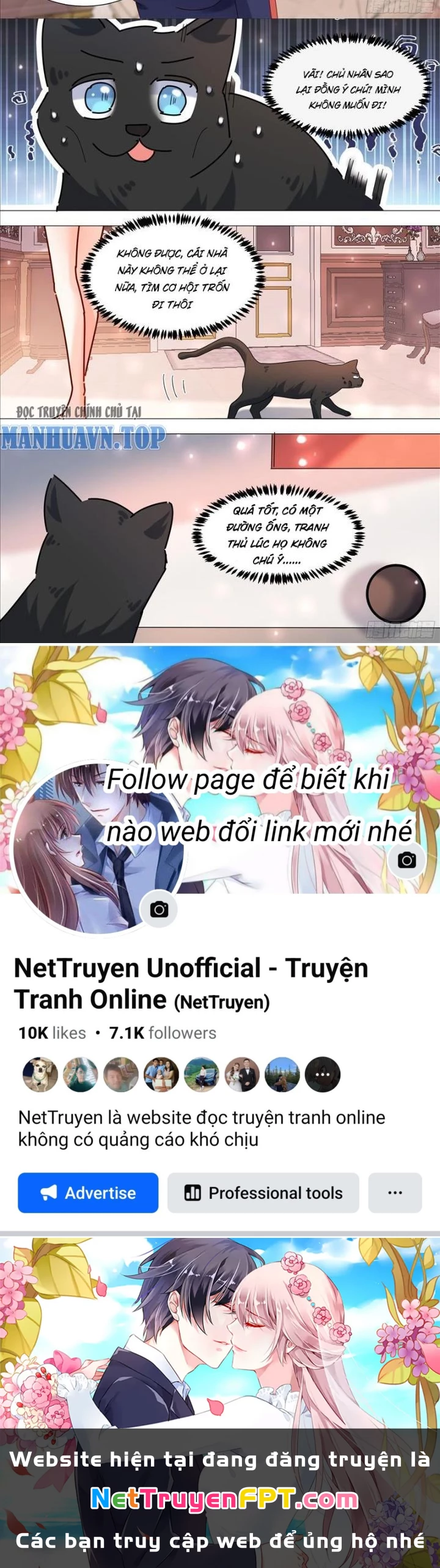 Trọng Sinh Thành Chó Của Nữ Thần Chapter 369 - Trang 2