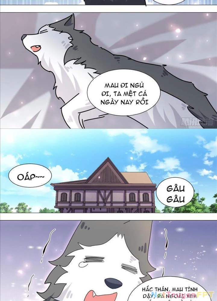 Trọng Sinh Thành Chó Của Nữ Thần Chapter 371 - Trang 2
