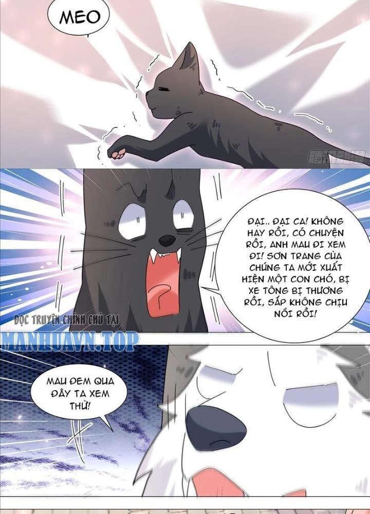 Trọng Sinh Thành Chó Của Nữ Thần Chapter 371 - Trang 2