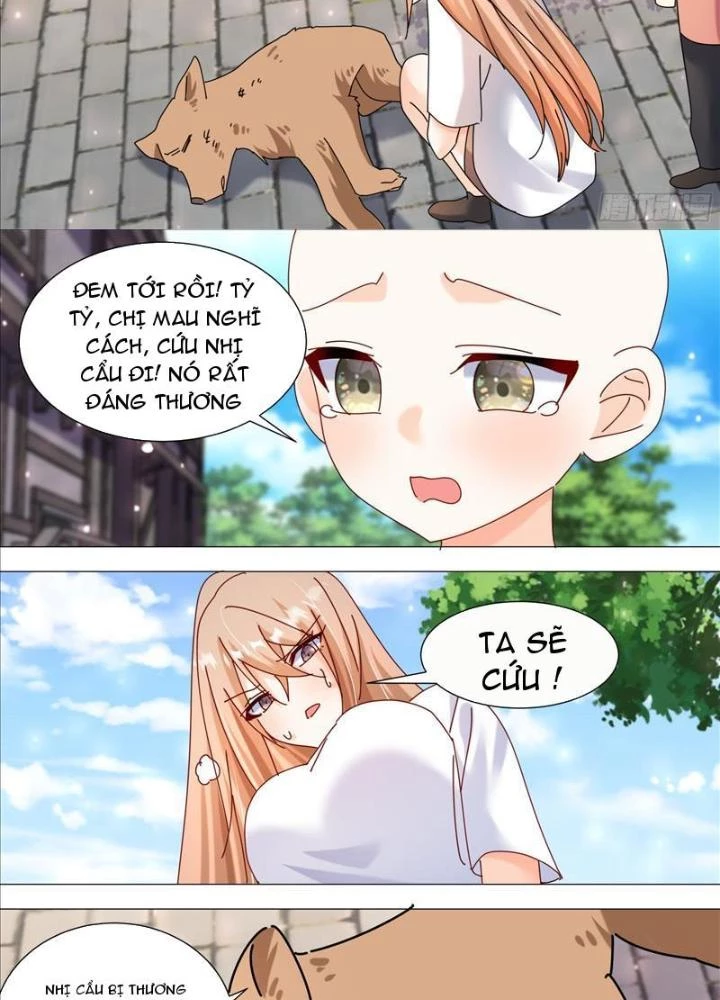 Trọng Sinh Thành Chó Của Nữ Thần Chapter 371 - Trang 2