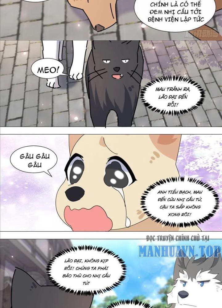 Trọng Sinh Thành Chó Của Nữ Thần Chapter 371 - Trang 2
