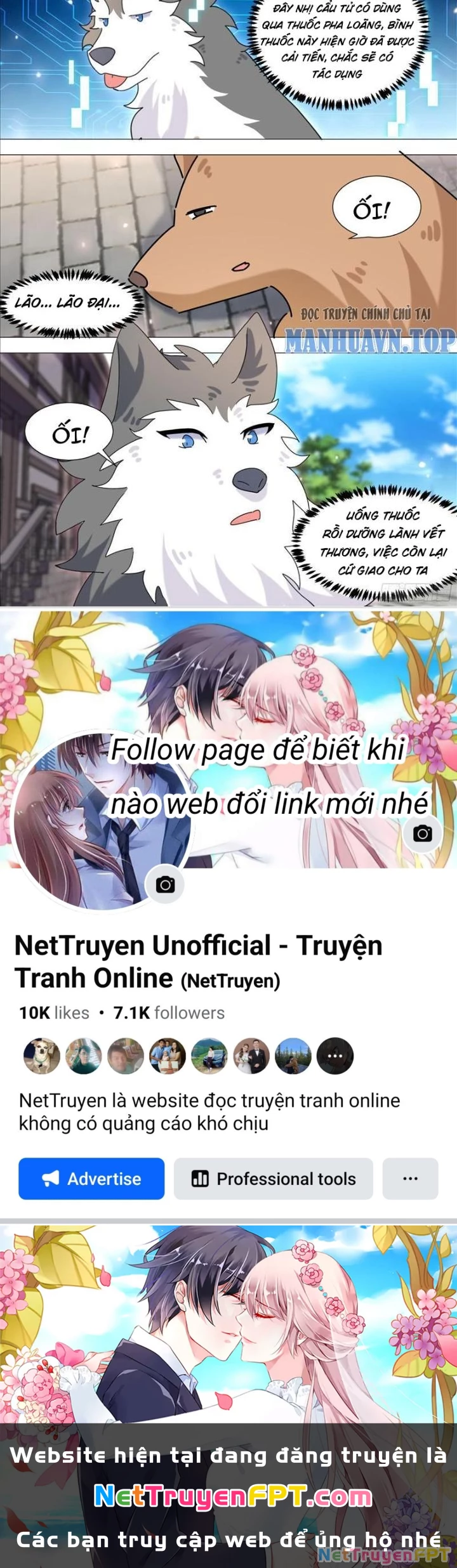 Trọng Sinh Thành Chó Của Nữ Thần Chapter 371 - Trang 2