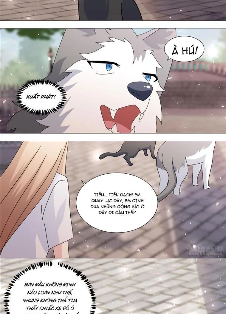 Trọng Sinh Thành Chó Của Nữ Thần Chapter 372 - Trang 2