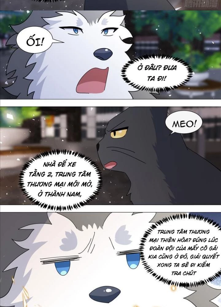 Trọng Sinh Thành Chó Của Nữ Thần Chapter 372 - Trang 2