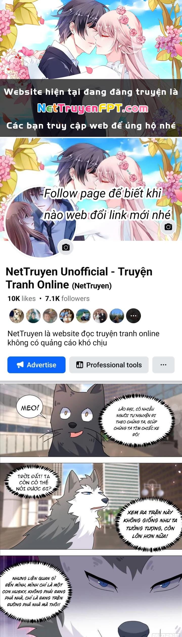 Trọng Sinh Thành Chó Của Nữ Thần Chapter 373 - Trang 2
