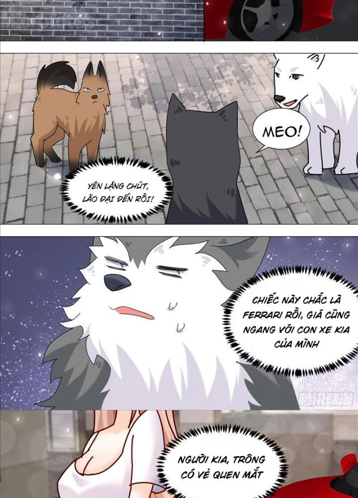 Trọng Sinh Thành Chó Của Nữ Thần Chapter 373 - Trang 2
