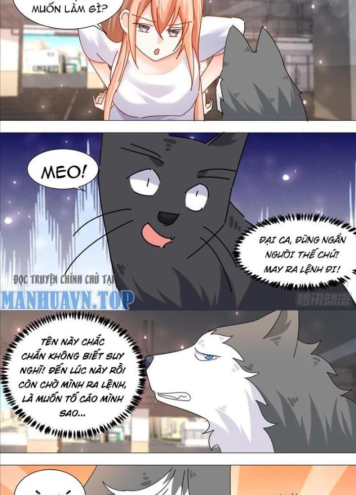 Trọng Sinh Thành Chó Của Nữ Thần Chapter 373 - Trang 2