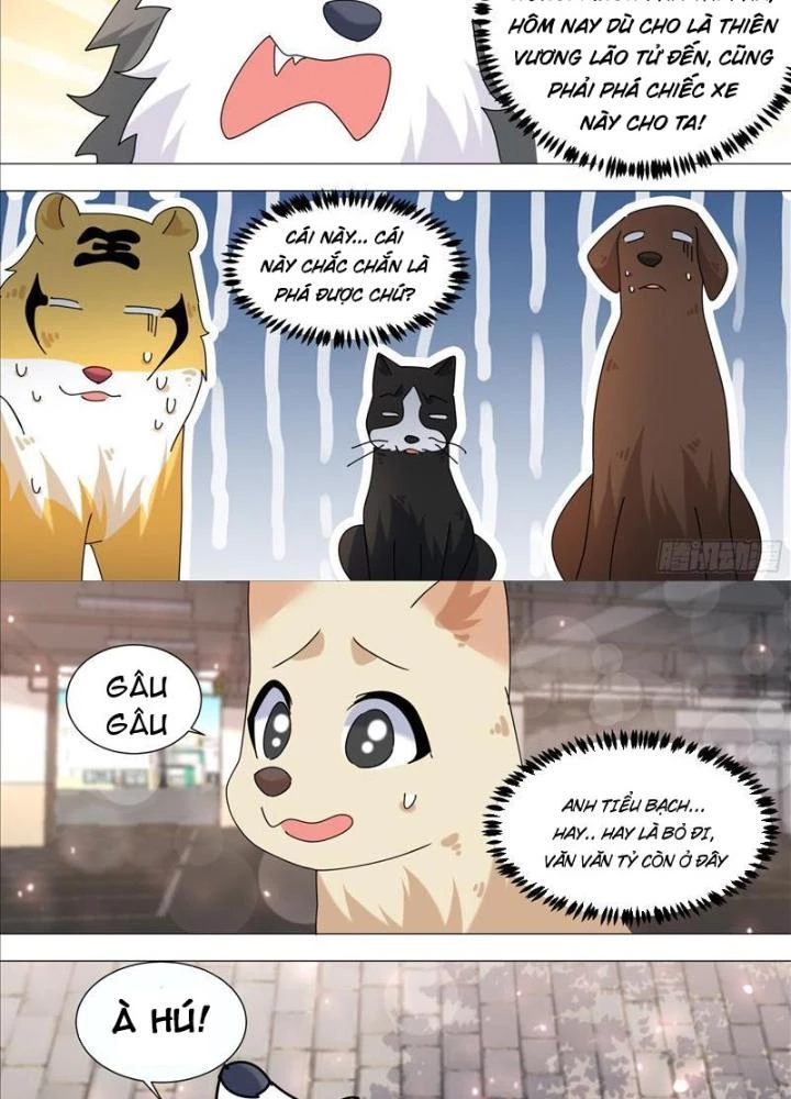 Trọng Sinh Thành Chó Của Nữ Thần Chapter 373 - Trang 2