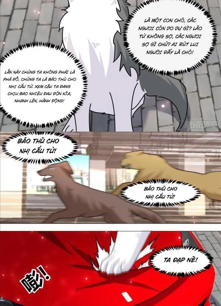 Trọng Sinh Thành Chó Của Nữ Thần Chapter 373 - Trang 2