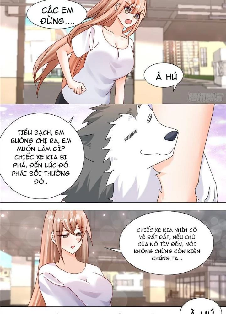 Trọng Sinh Thành Chó Của Nữ Thần Chapter 373 - Trang 2