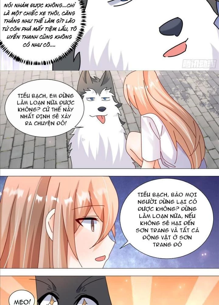 Trọng Sinh Thành Chó Của Nữ Thần Chapter 373 - Trang 2