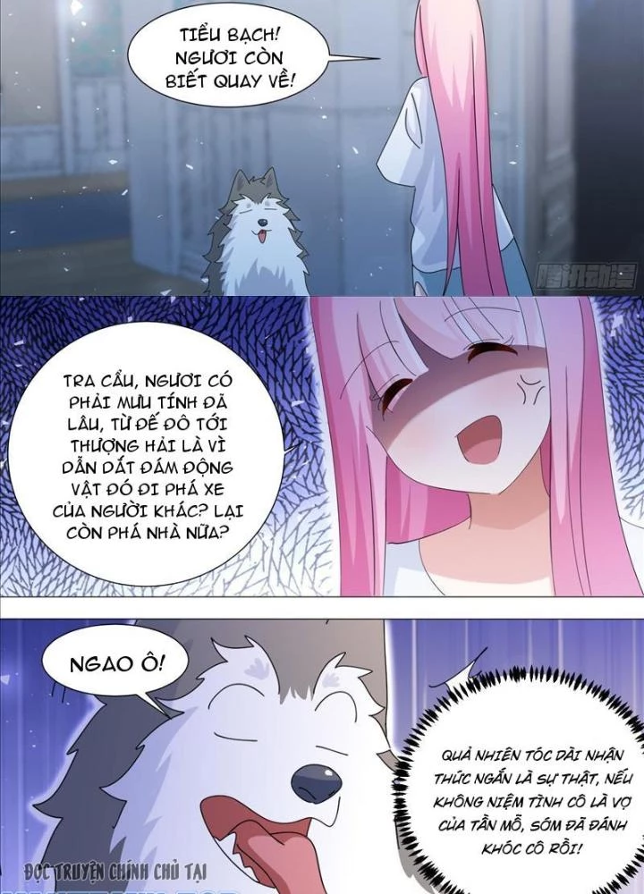 Trọng Sinh Thành Chó Của Nữ Thần Chapter 378 - Trang 2