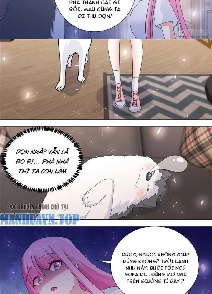Trọng Sinh Thành Chó Của Nữ Thần Chapter 378 - Trang 2