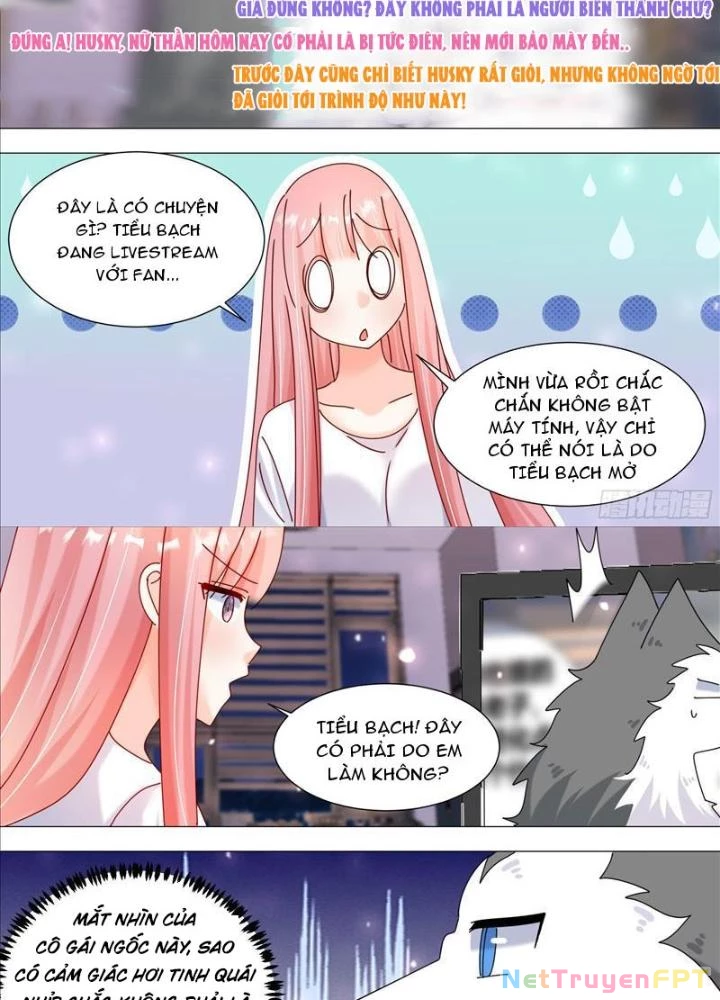 Trọng Sinh Thành Chó Của Nữ Thần Chapter 379 - Trang 2