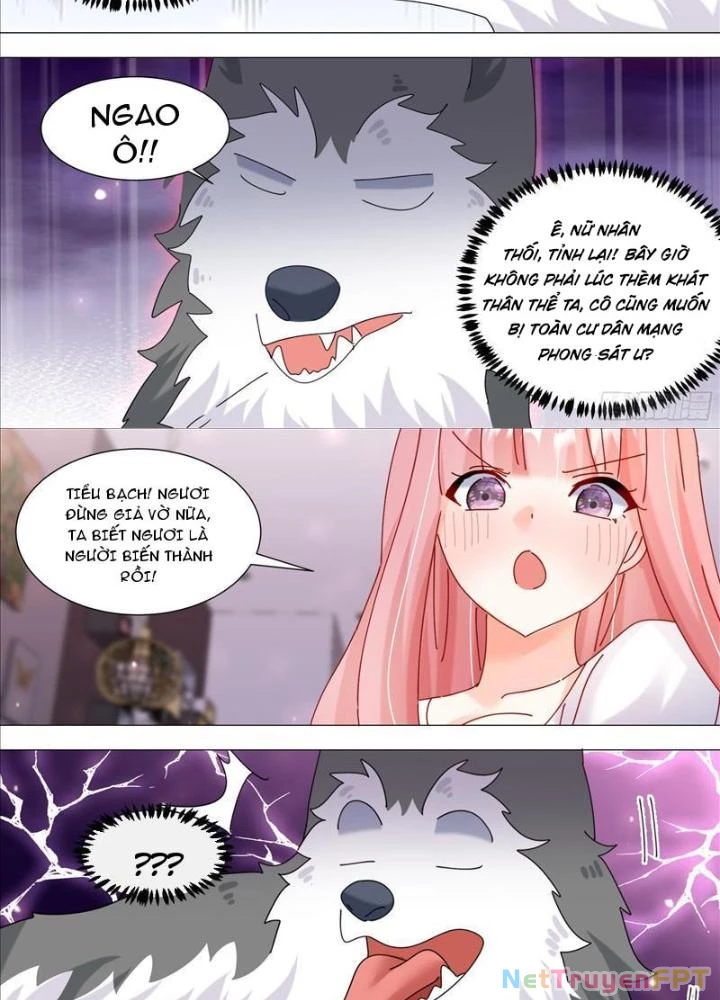 Trọng Sinh Thành Chó Của Nữ Thần Chapter 379 - Trang 2