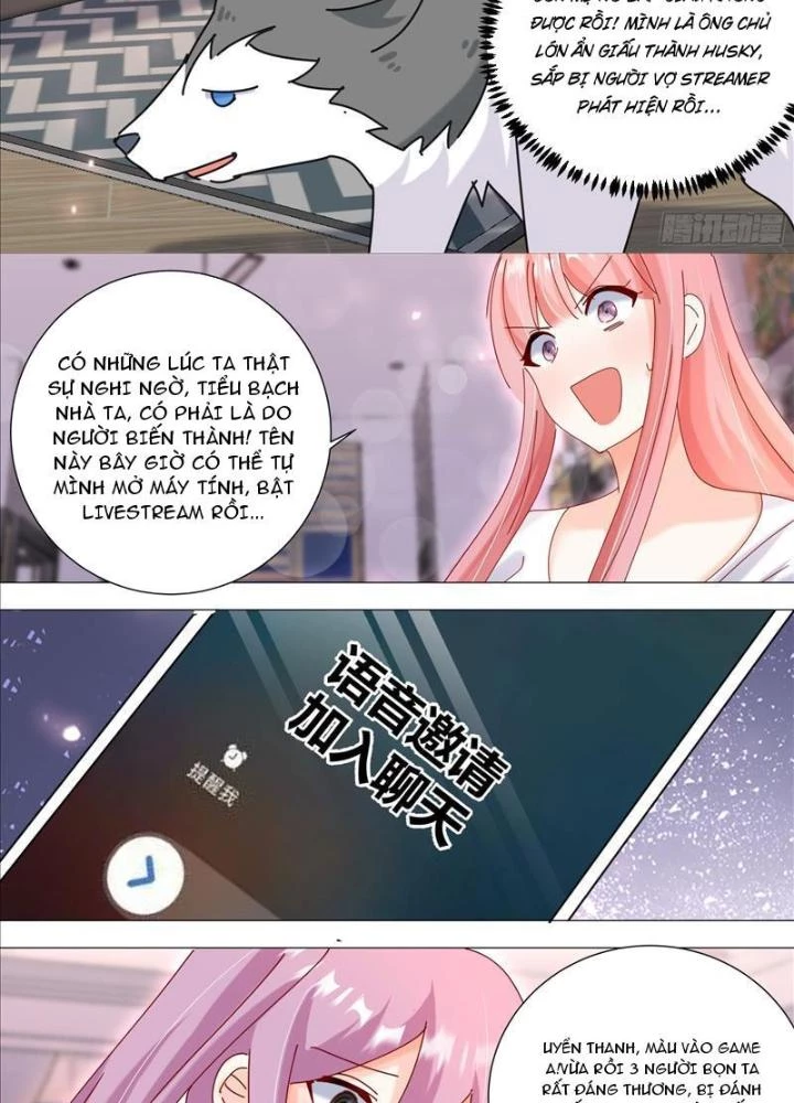 Trọng Sinh Thành Chó Của Nữ Thần Chapter 379 - Trang 2